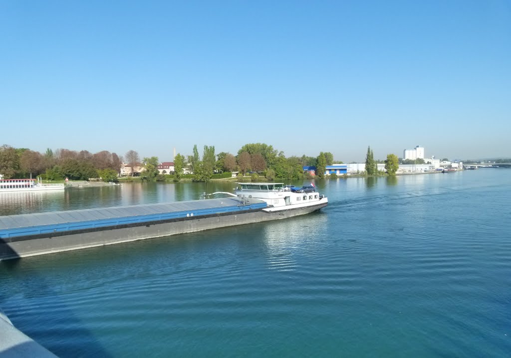 Le Rhin et Huningue (F) sur la rive opposée by Magda GHALI