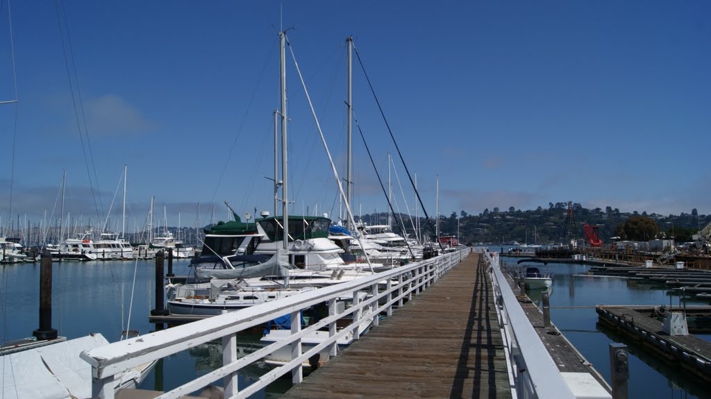 The marina of Sausalito by tomguiss