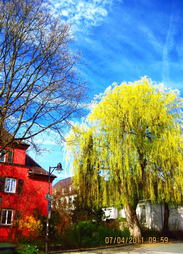 Near by school ebersberg by uma-saisuwan@hotmail…