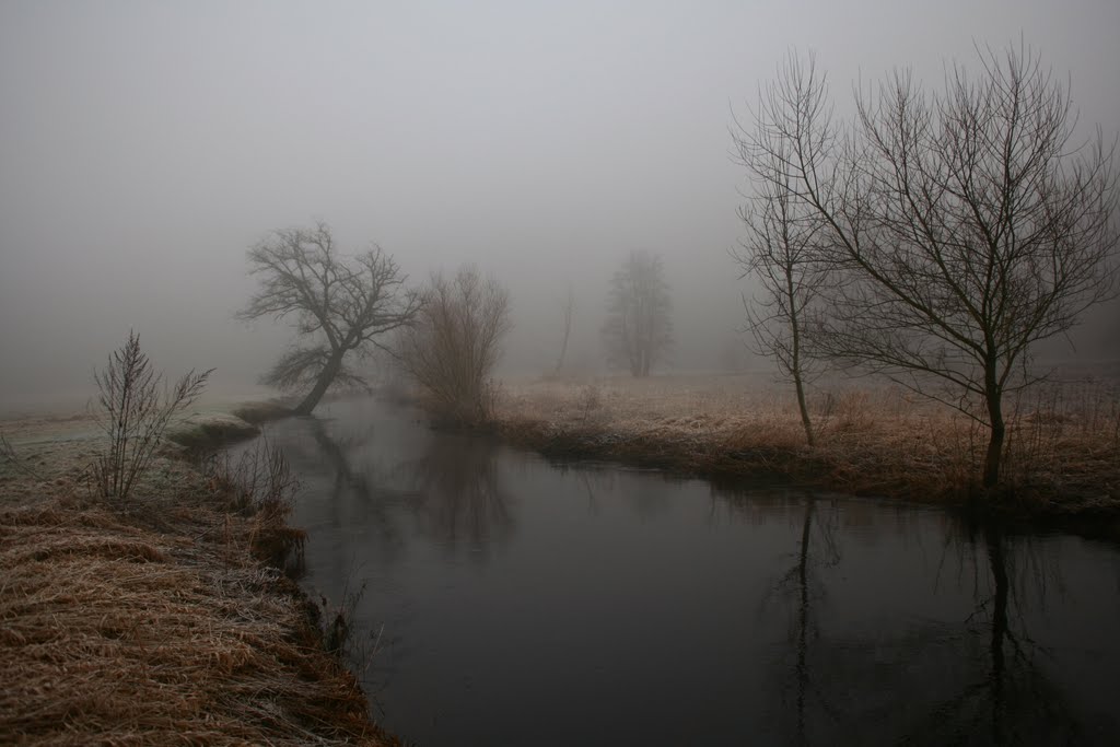 Fog on the Böhme by David Travis