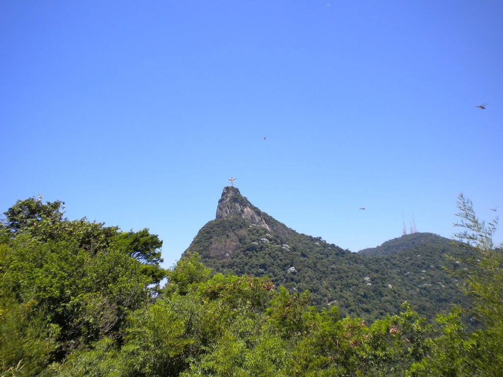 Cristo Redentor Rio de Janeiro Brasil by Andrés Franchi Ugart…