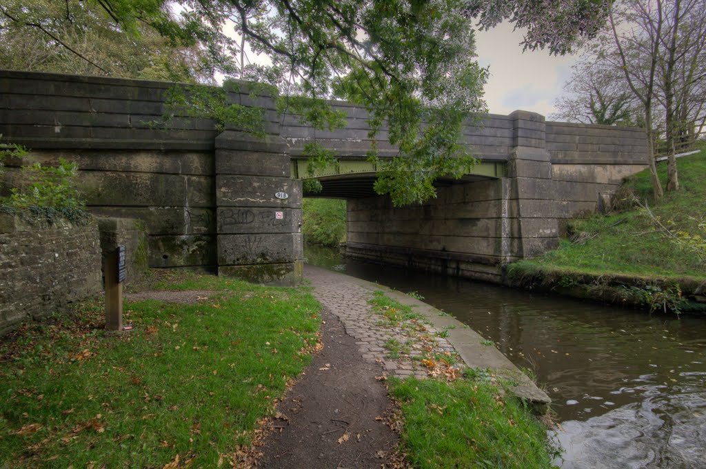 Bridge 91B, Leeds Liverpool Canal by Alifink