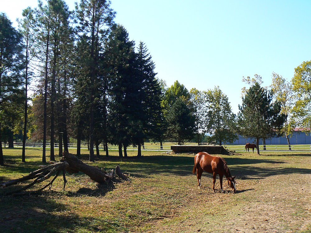 Ergela i pustara Višnjica by Just Bored