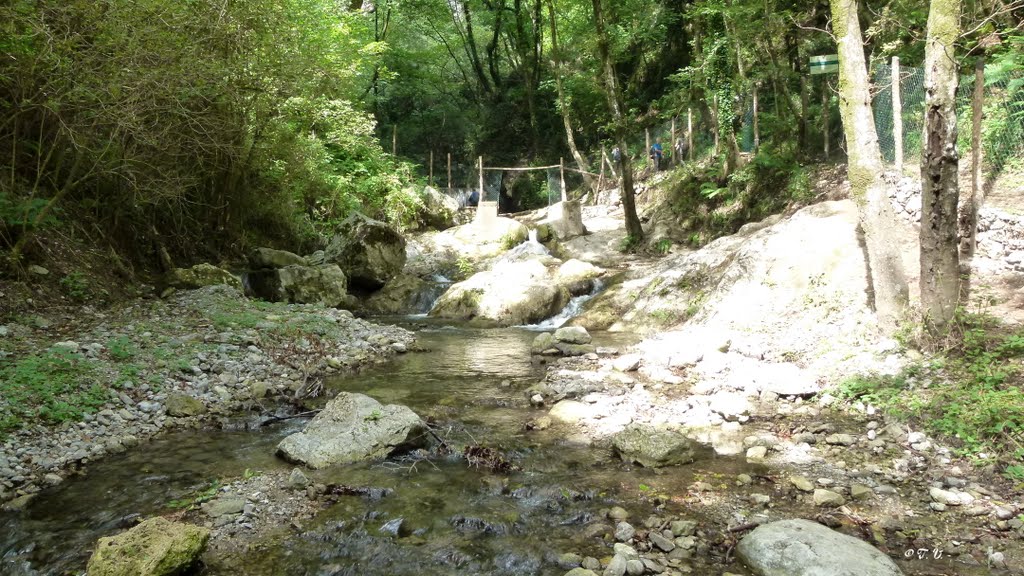 Valle delle Ferriere: fiume Canneto by tommaso valentino