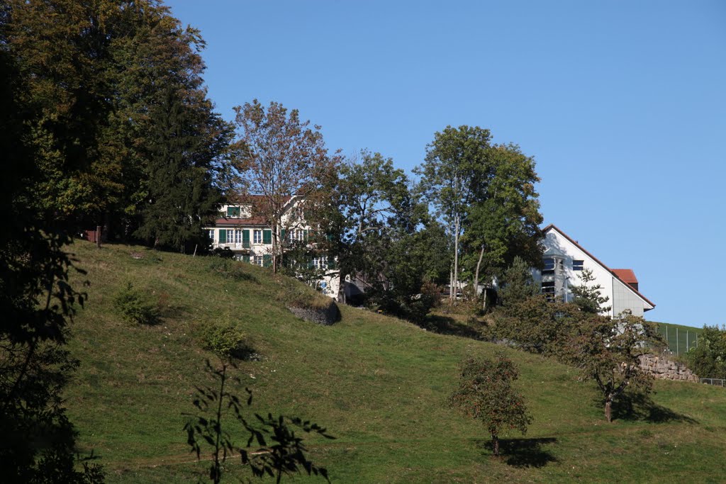 Froburg - Restaurant by claude.studer