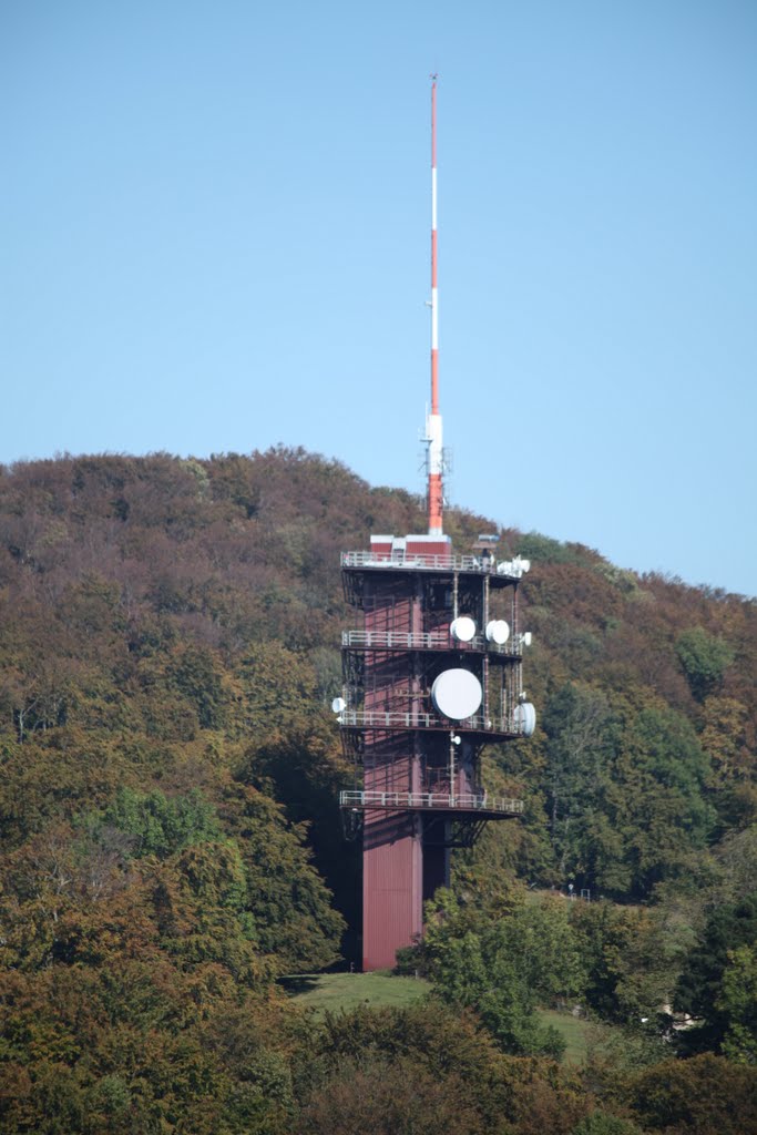 Antenne Froburg by claude.studer