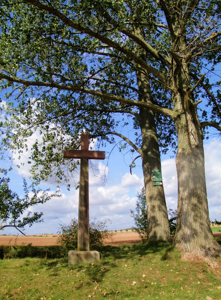 Flurkreuz im Eichsfeld by bayernengel ( i ♥ panoramio - no views)