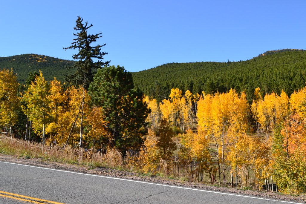 Gilpin County CO, Hwy 46, 2644m -2011- by GSZENDRODI