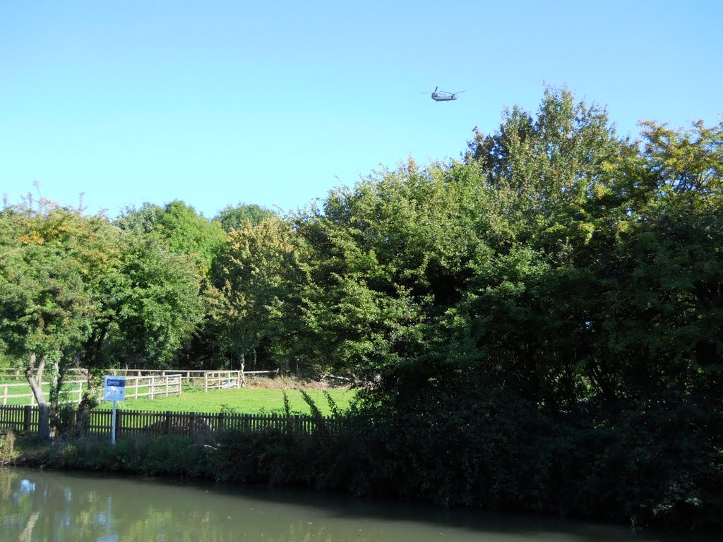 Odiham, Hook RG29, UK by Robert'sGoogleEarthP…