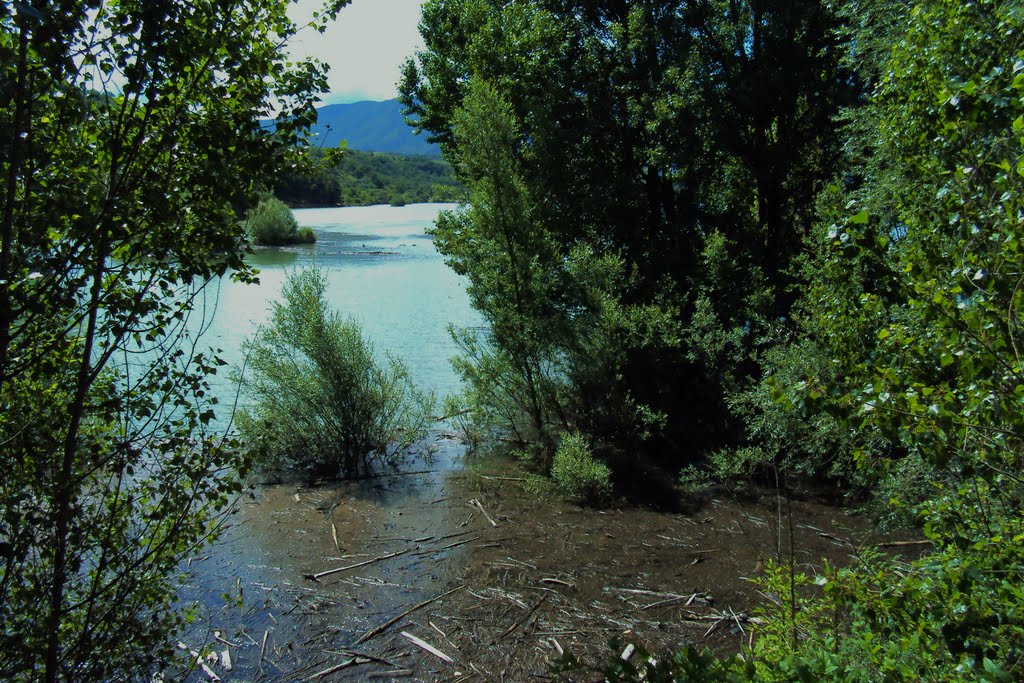 La Pobla, estació by wynear