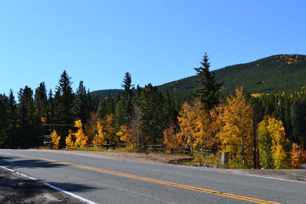 Gilpin County CO, Hwy 46, 2644m -2011- by GSZENDRODI