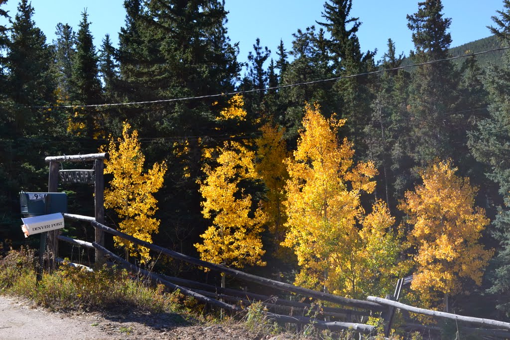 Gilpin County CO, Hwy 46, 2644m -2011- by GSZENDRODI