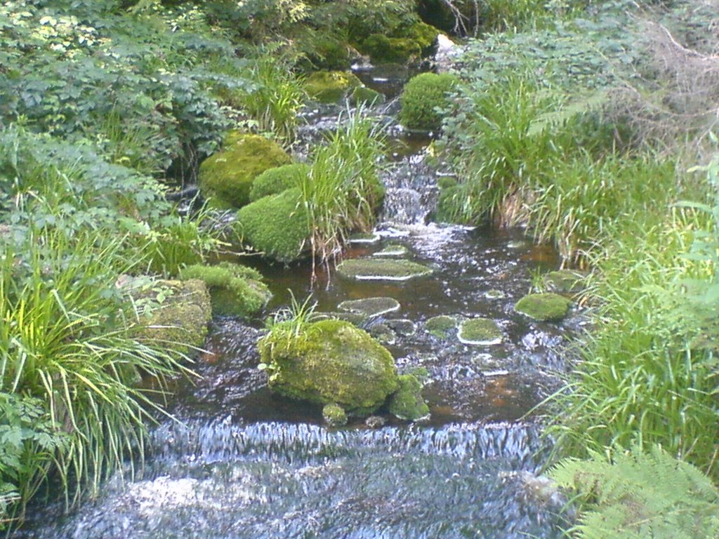 Babbling brook by jenne