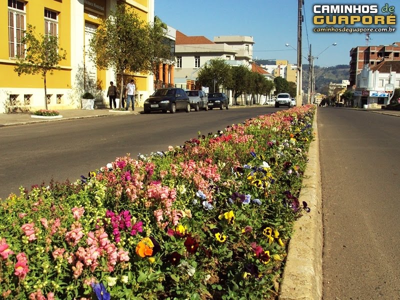 Flores na Av. Sílvio Sanson em Guaporé/RS - www.caminhosdeguapore.com.br by Caminhos de Guaporé