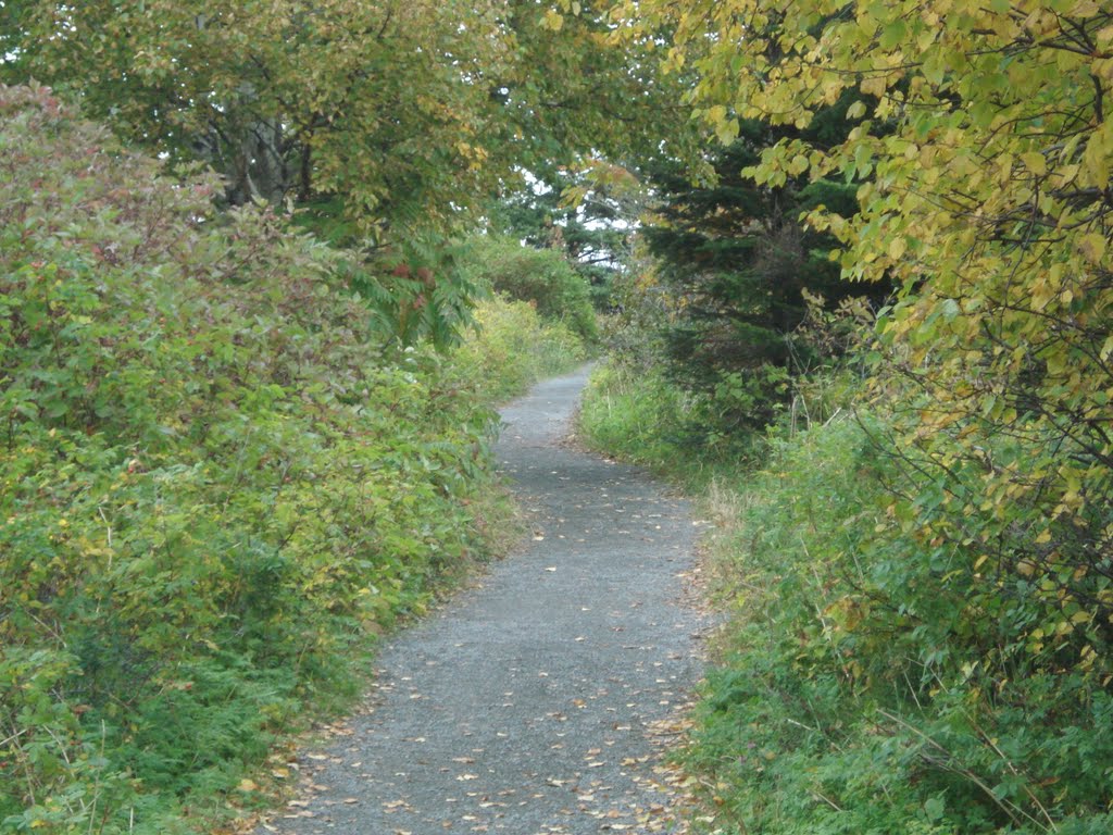 Parc du Bic. Photo: 2011-10-04 by Jean-Moo