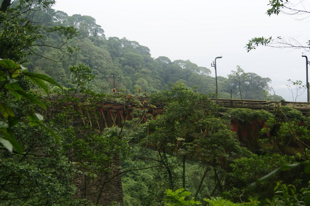 Caminho da Funicular/Viaduto 3-Paranapiacaba á Cubatão by Andre Pimentel