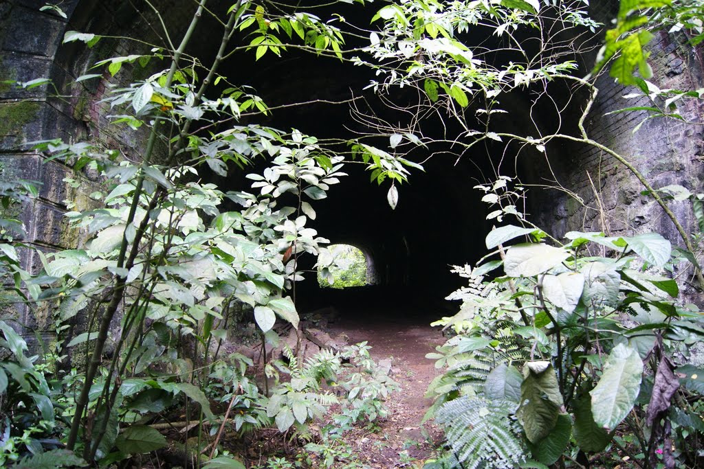 Caminho da Funicular-Paranapiacaba/Cubatão by Andre Pimentel