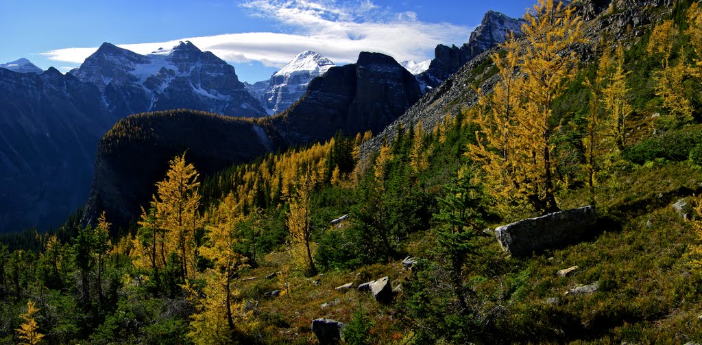 Big Beehive in gold by M Delong