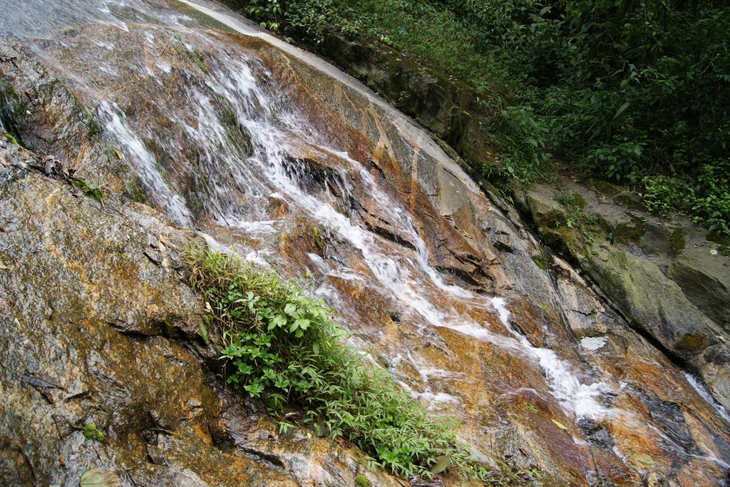 Caminho da Funicular/Cachoeira-Paranapiacaba/Cubatão by Andre Pimentel