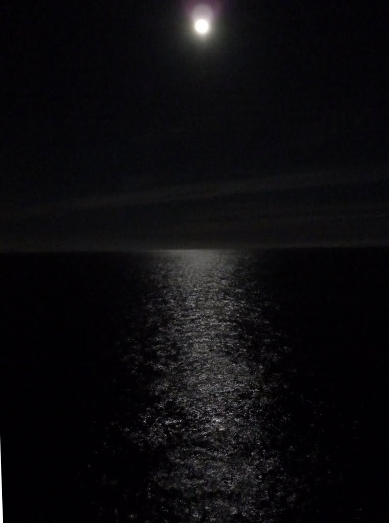 Santa Cruz, CA, USA: Monterey Bay From the Municipal Wharf, 2011 by Chris English