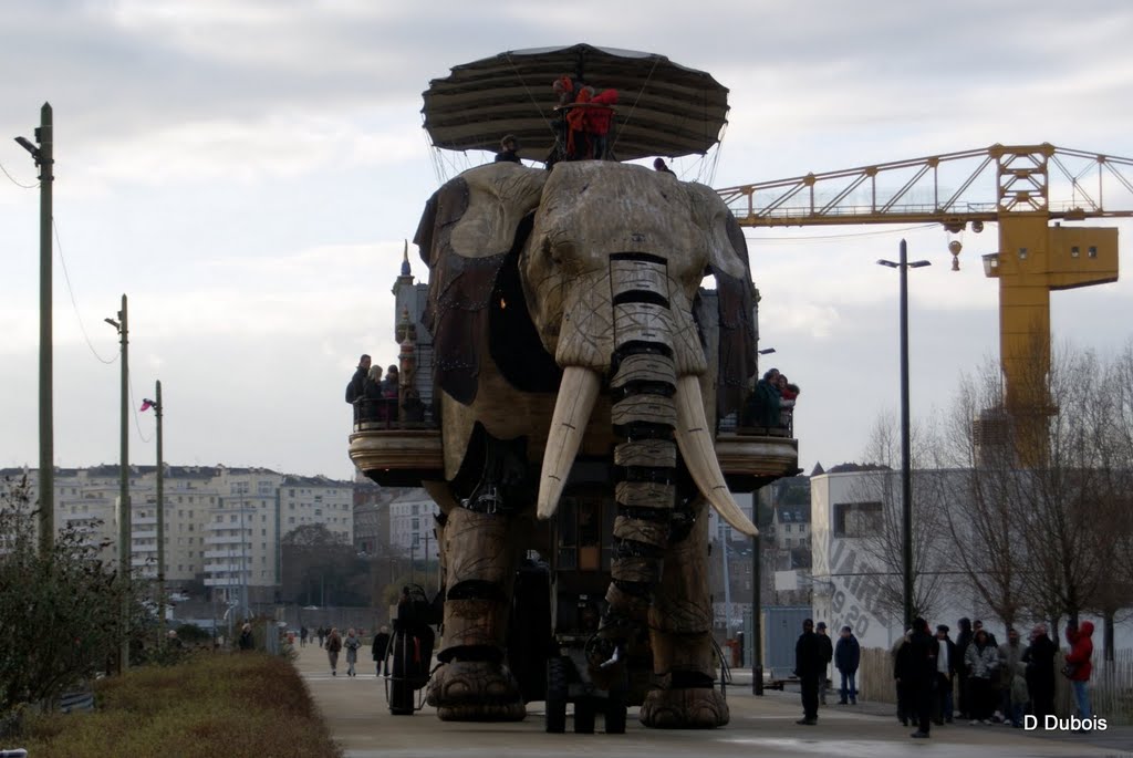 L' ile Nantes l' éléphant Les Machines de Nantes by dom44