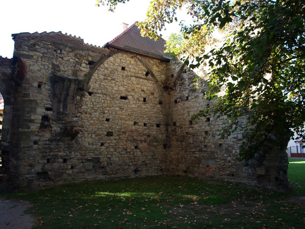 Panensky Tynec - Unfinished Church - 2011 by Petr Morawetz