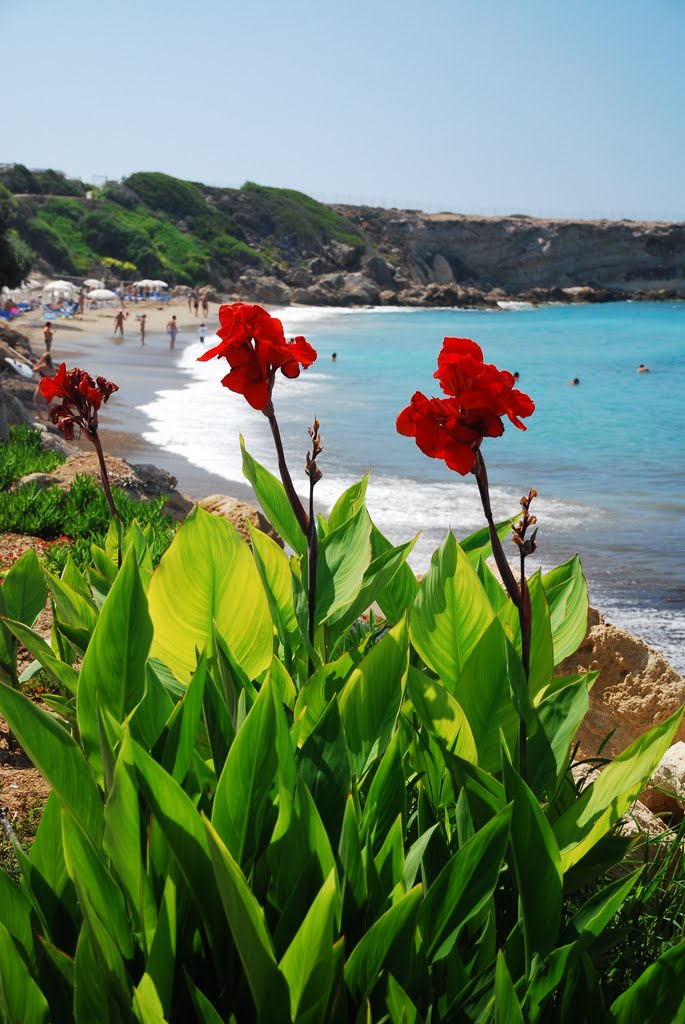 Cyprus - Coral Beach by Mario Italiano