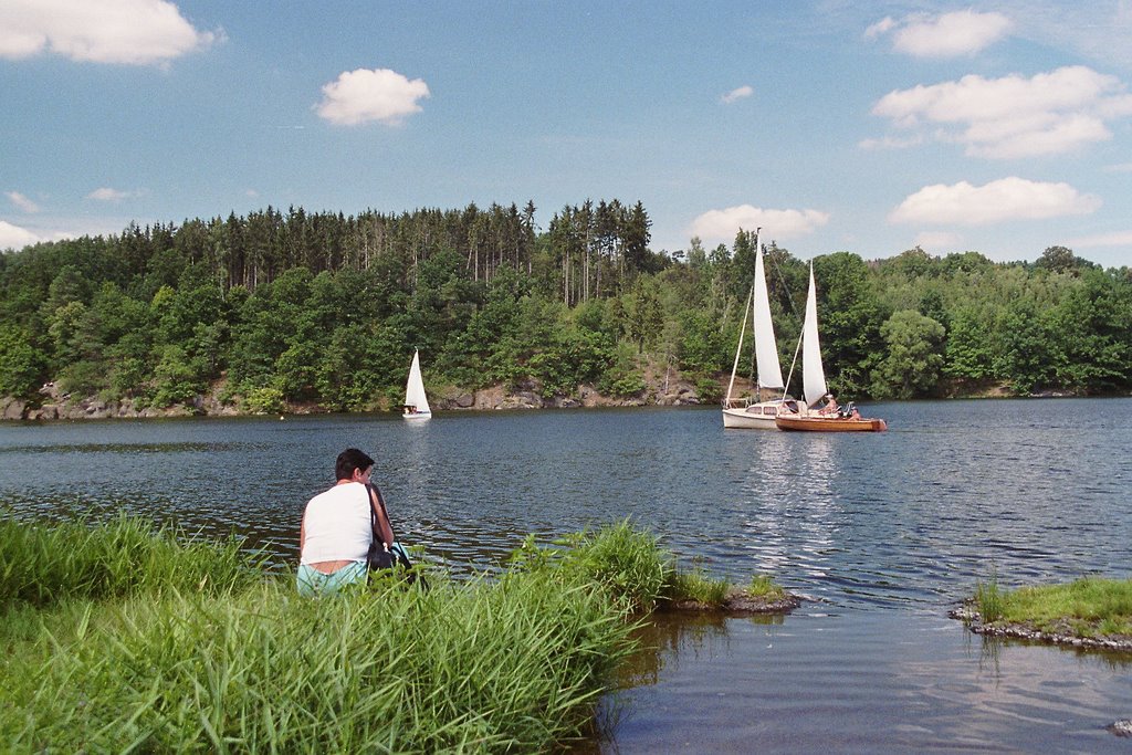 Talsperre Pirk- Blick von der Ruine Stein by Armin Menzer