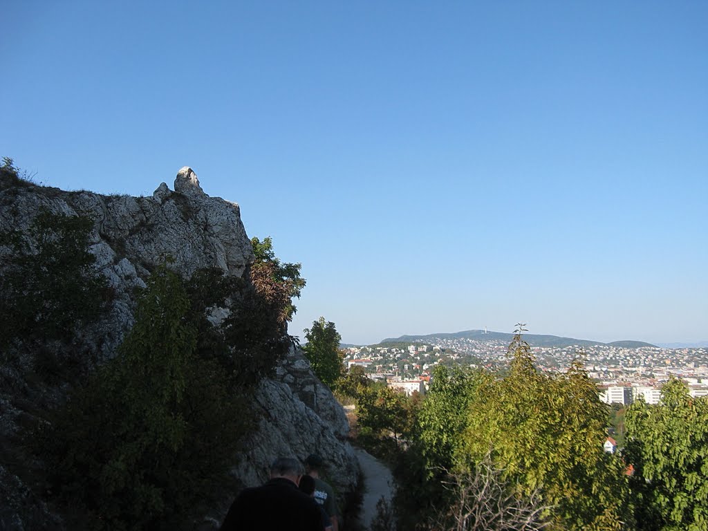 Die Besuchergruppe auf dem Sas-Berg; auf dem Lernpfad / The group of visitors on the Sas-hill, on the learning path by ildiko.bajor