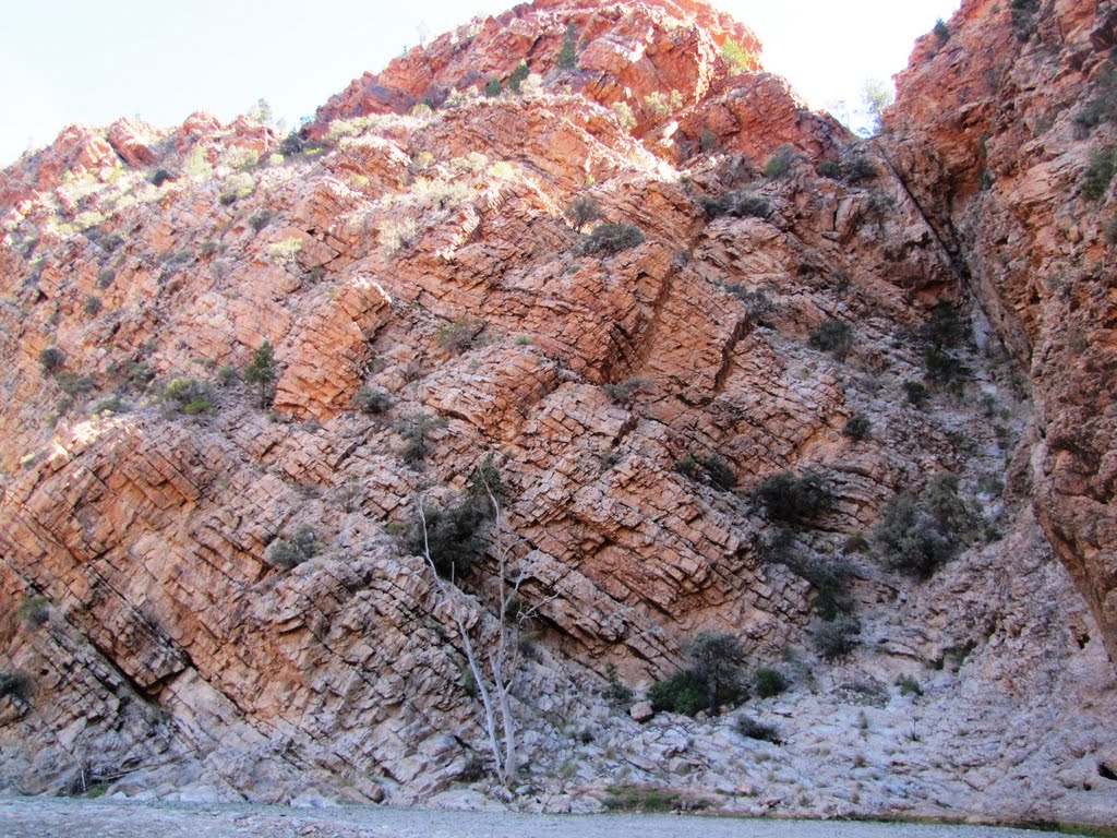 Inside Brachina Gorge - Flinders Ranges SA by Luke Johnston