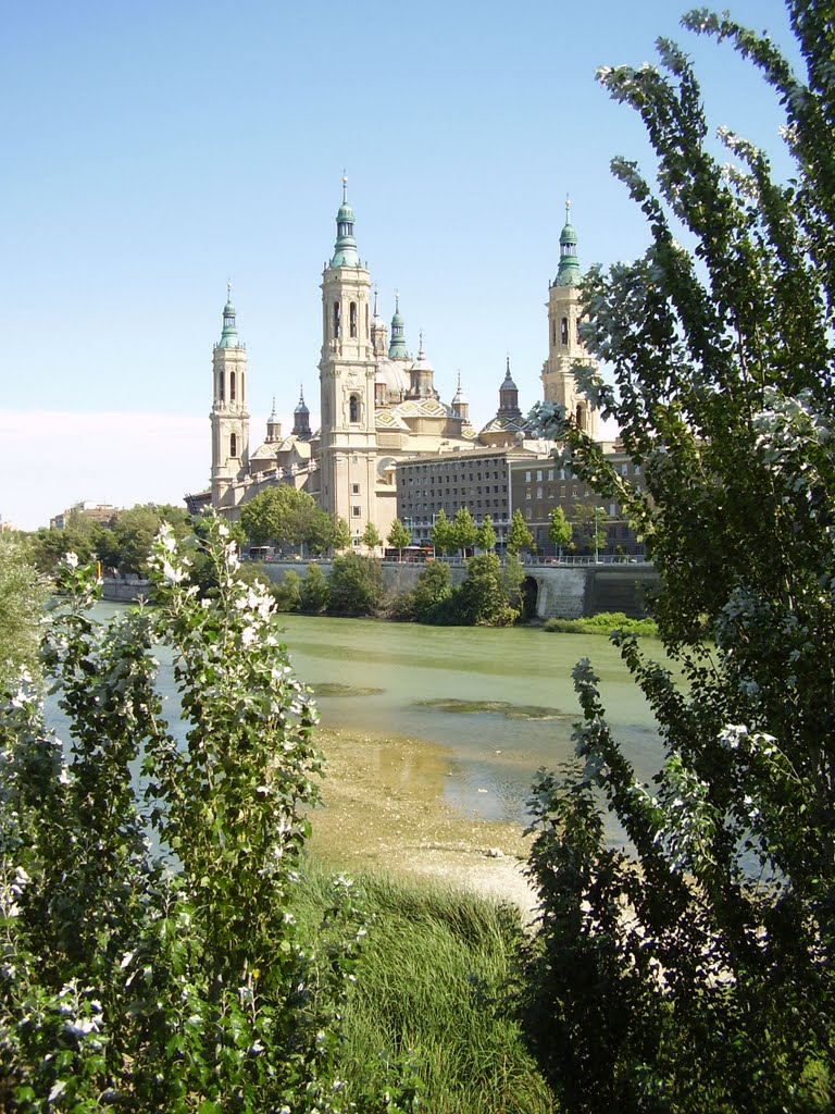 Basilica del Pilar by Carried By The Wind