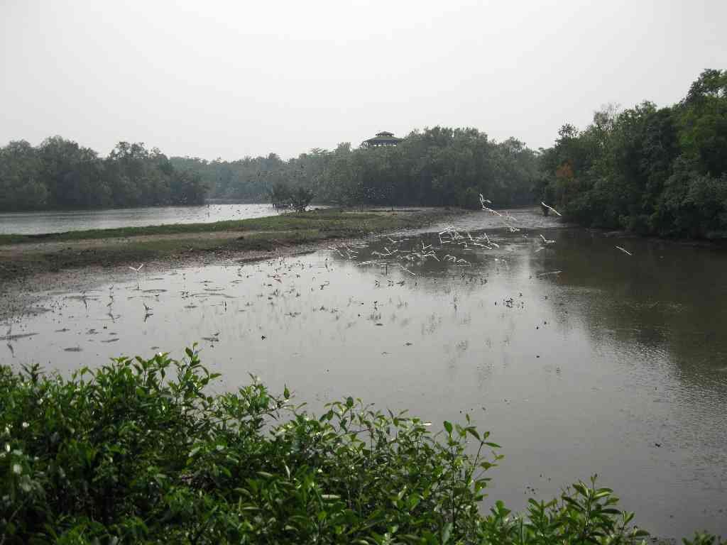 Sungei Buloh Nature Reserve by hutanhigh