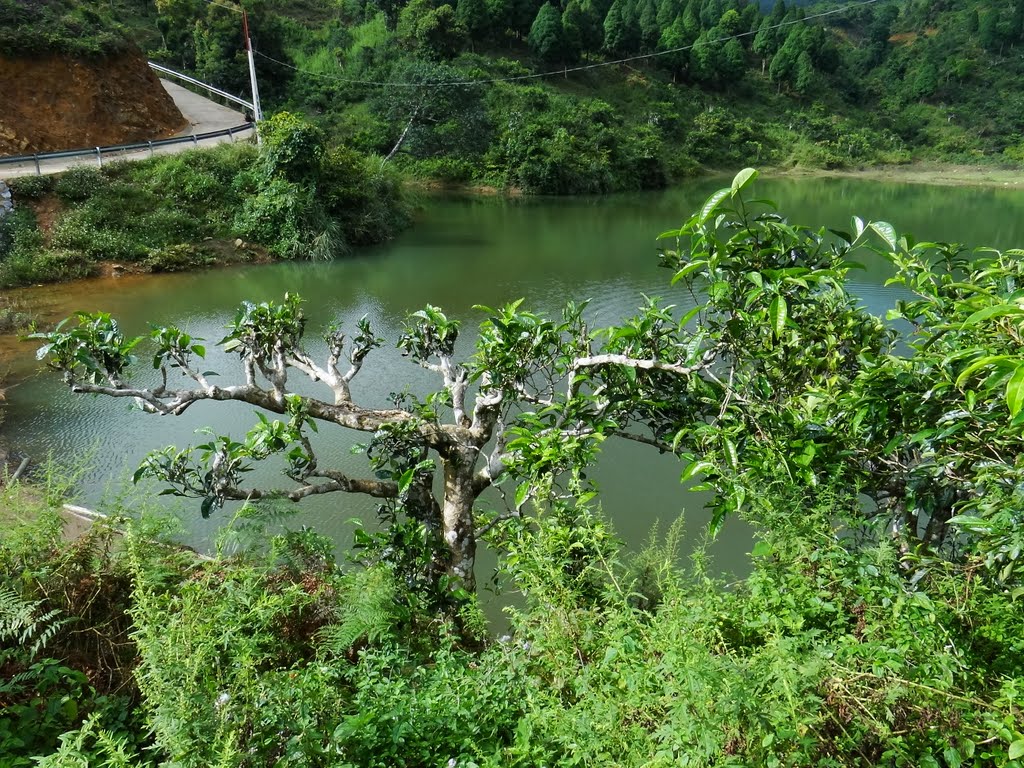 Khu du lịch Suối Giàng by Ngọc Viên Nguyễn