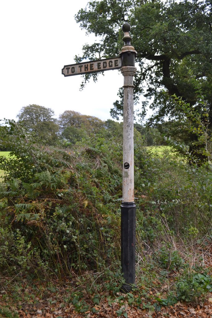 'TO THE EDGE", Alderley Edge on Macclesfield Road by annawaltzerpose