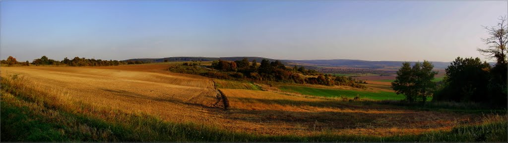 Álmodj szépet a nyárról ... itt már az Ősz téblábol ... by ©  Imre Lakat