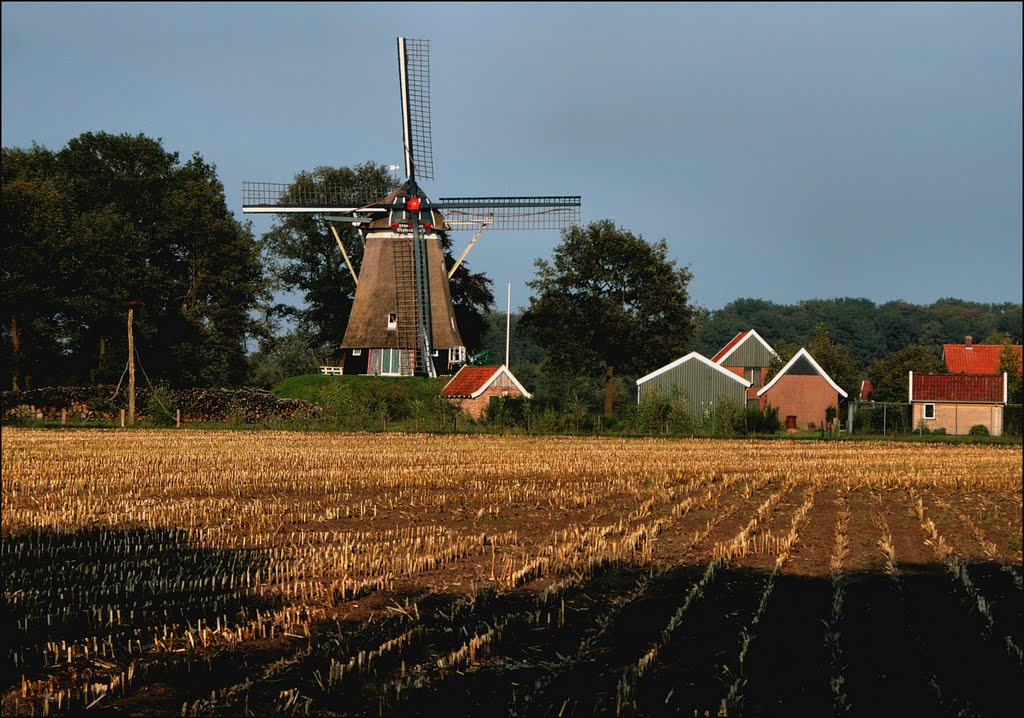 Molen bij Tilligte (Twenthe) by Teunis Haveman