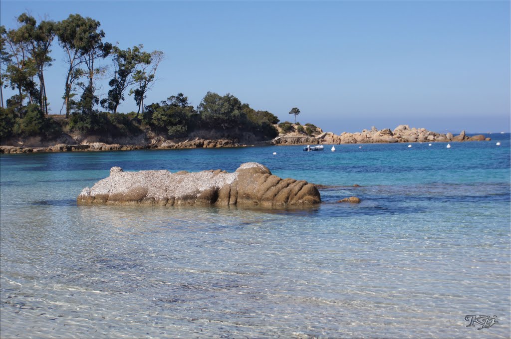 Les eaux de la plage d'argent by kinet jean jacques