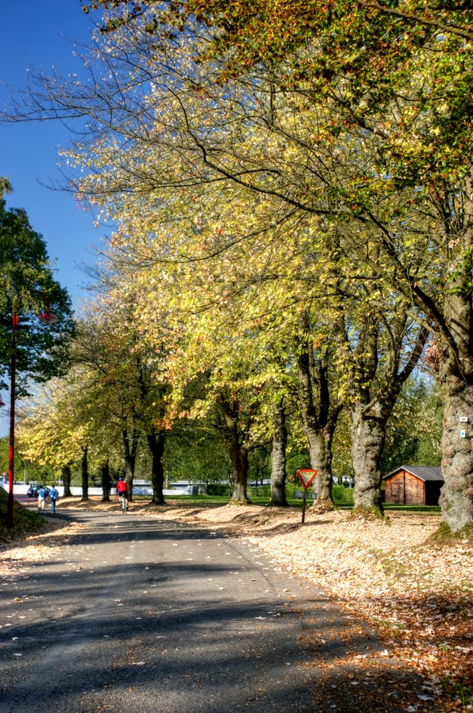 Light and colors of autumn by johnvantighem