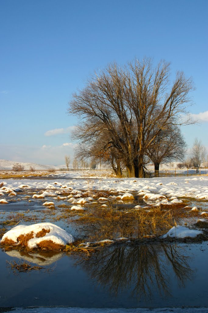 Fars Province, Pasargad, Unnamed Road, Iran by Mahmoud Reza Raeisi