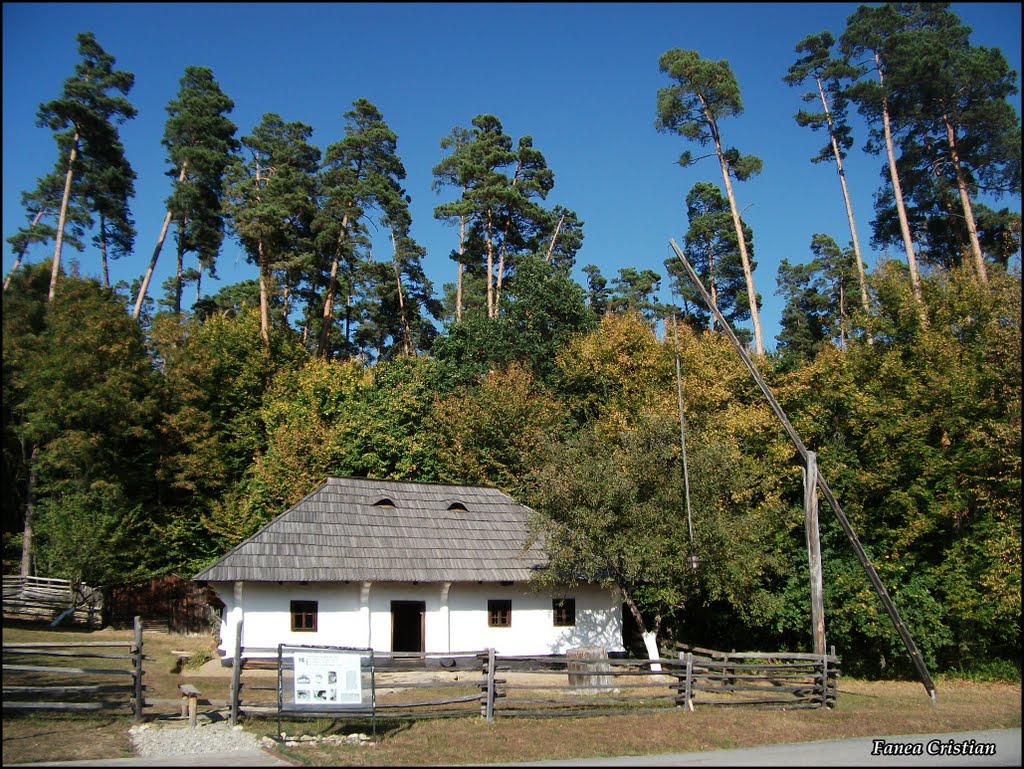 Muzeul Civilizaţiei Populare Traditionale ASTRA *** Gospodărie - Atelier de olar - Marginea, jud. Suceava / Potters homestead and pottery - Marginea, Suceava county. by Fanea  Cristian