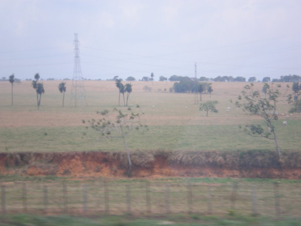 Llanos Venezolanos by Carlos Javier Rojas