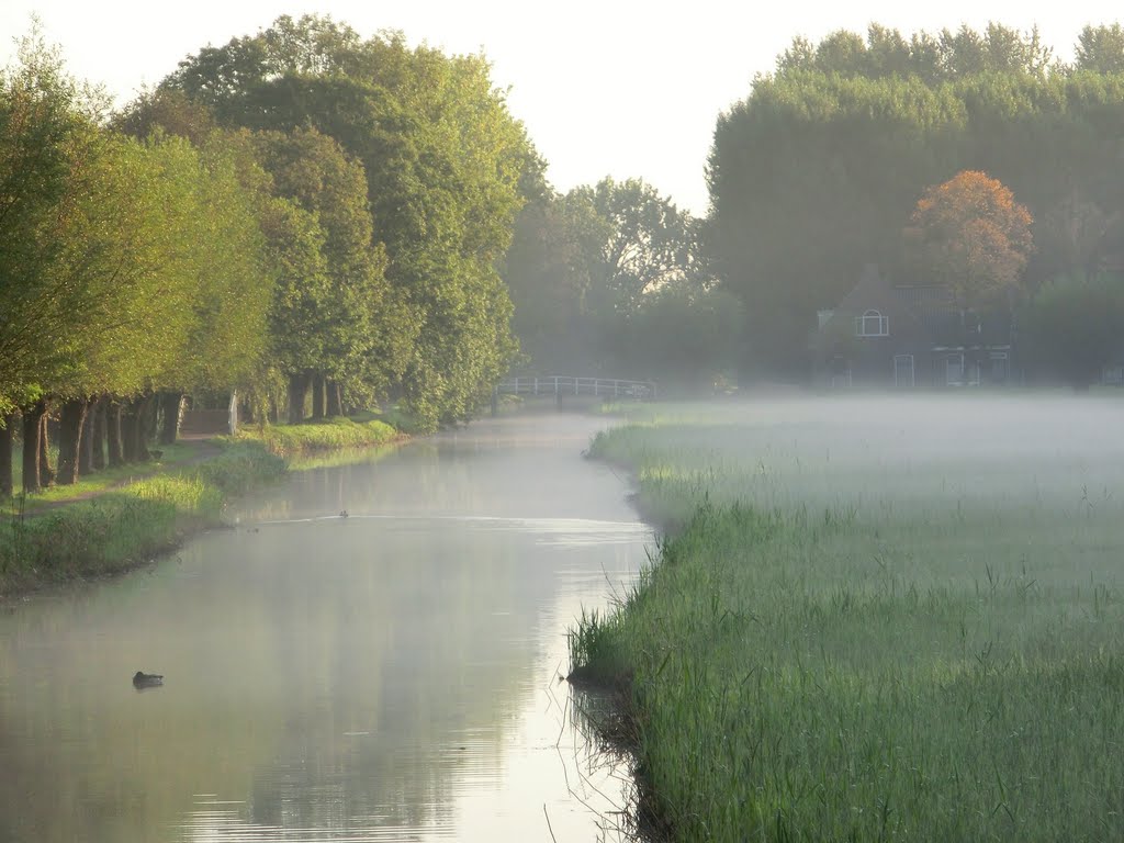 Aan 't verlaat, delftse hout by EvB