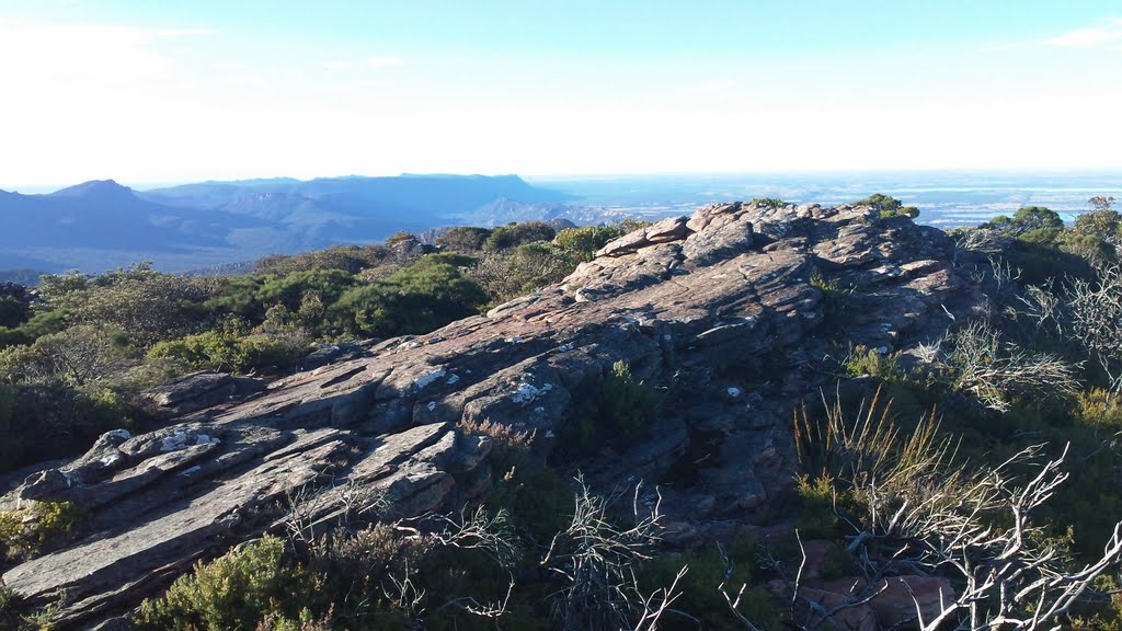 View of Mount William summit by Pong Siu