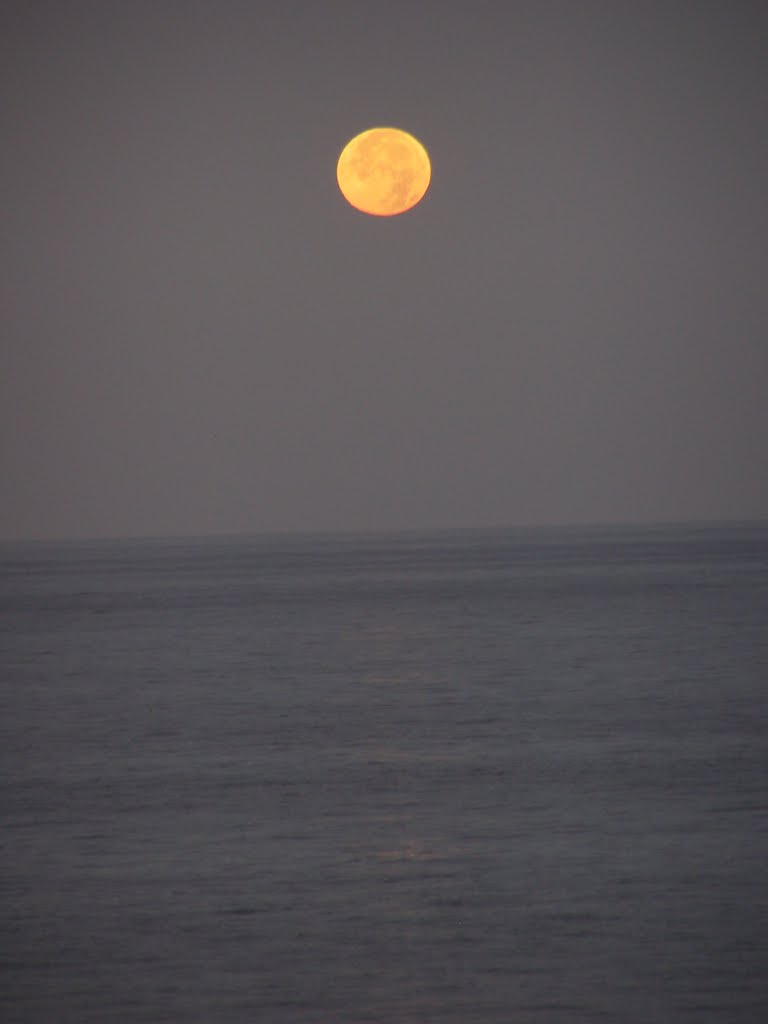 Full moon above the sea by Sanneke Griepink