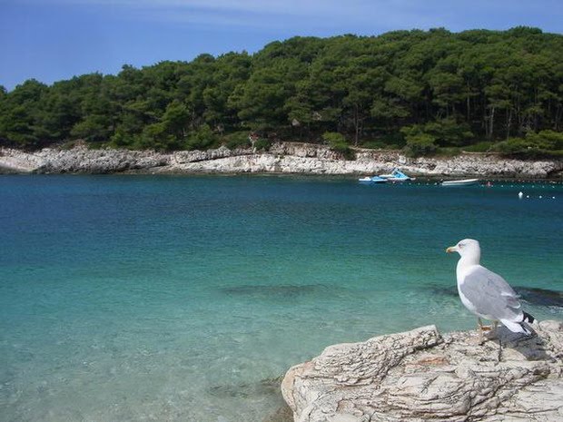 Mali Lošinj, Croatia by Cassiopea