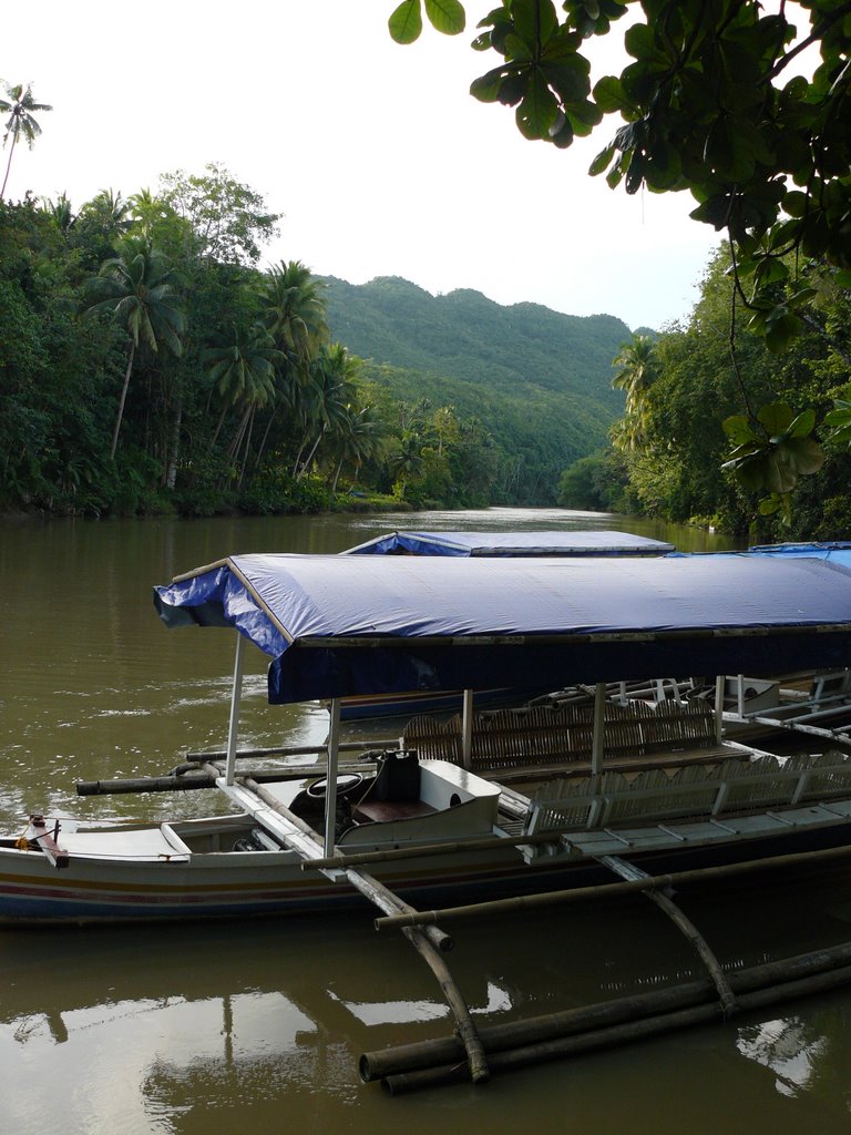 Rio Loboc by luchog