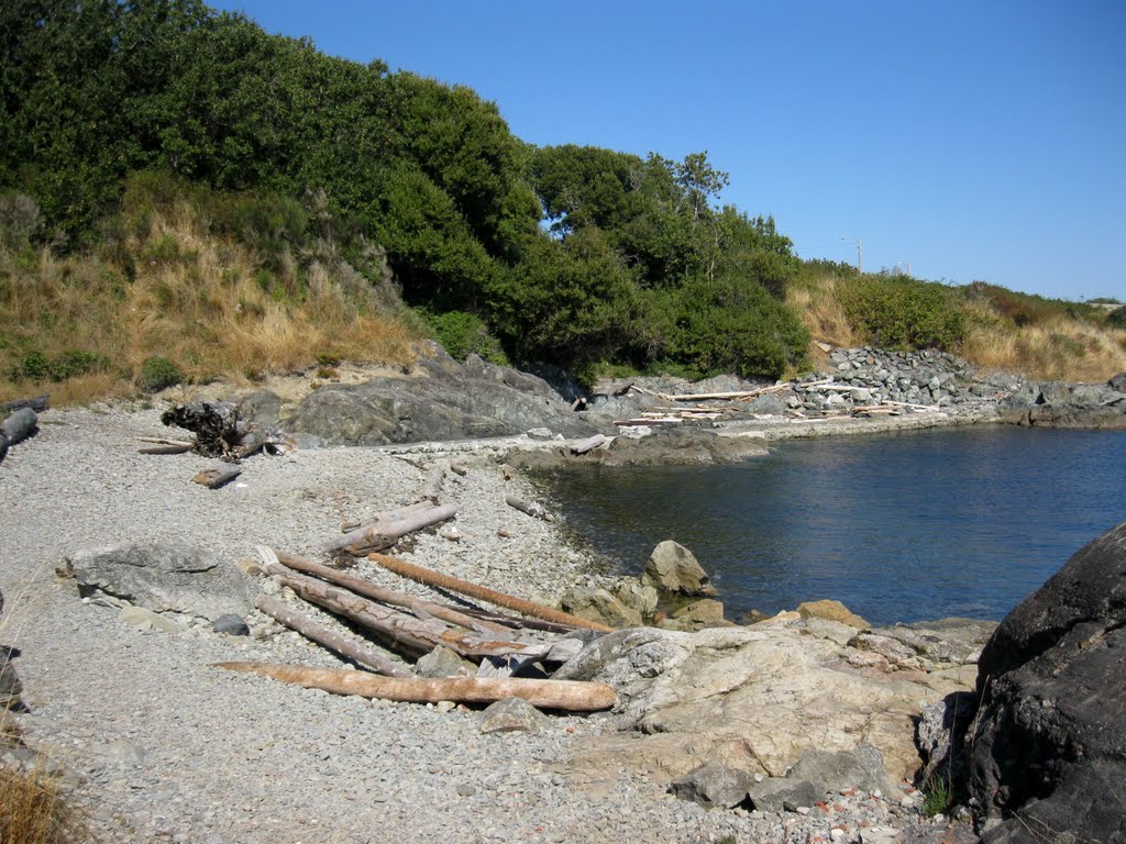 Macaulay Point beach. READ INFO IN PANORAMIO/COMMENTS by John Newcomb