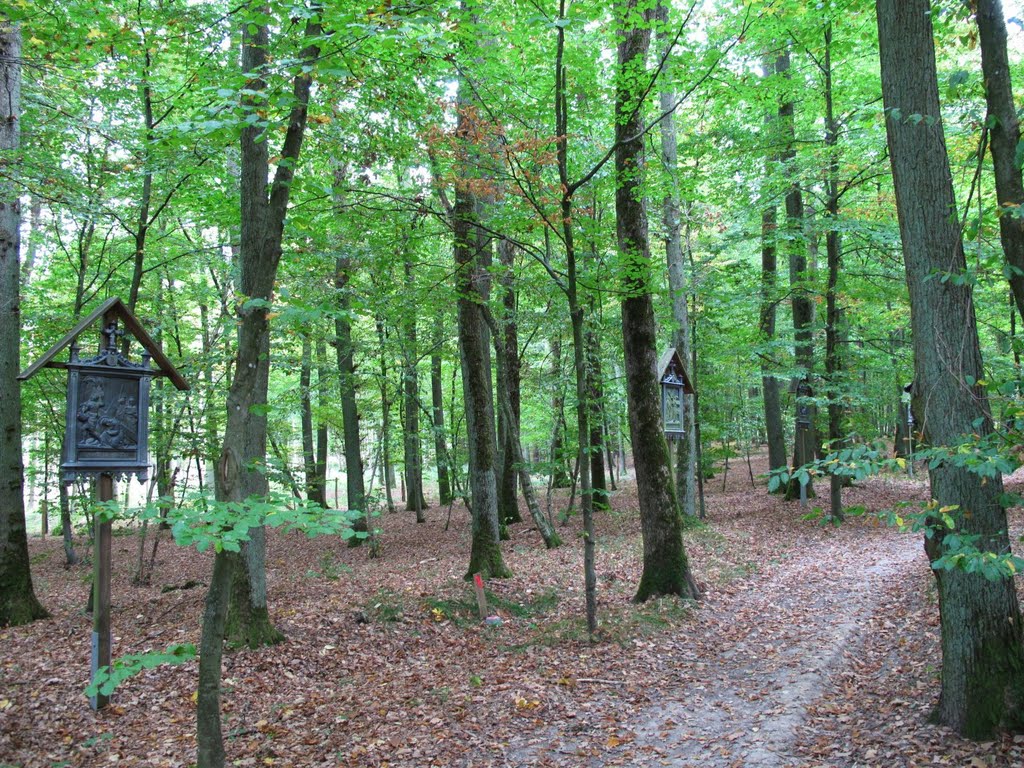 Stationen des Kreuzwegs zur Kapelle Fürstenbild by lebola