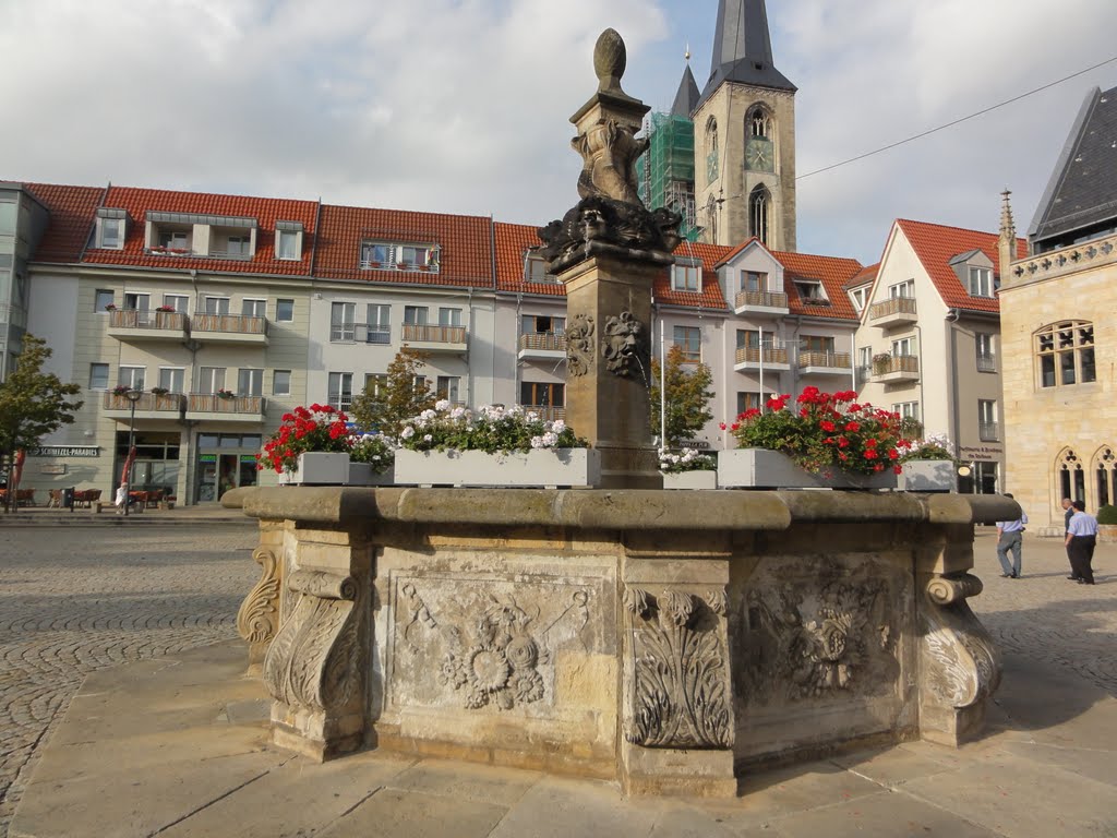 Halberstadt, Germany by SANKARS