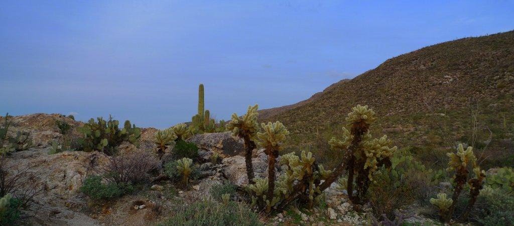 Saguaro Park by DESJEUNES & RICO